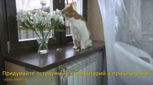 ✅ Мультиварка Redmond RMC-PM 4506 - полная видео инструкция от киностудии Леньфильм