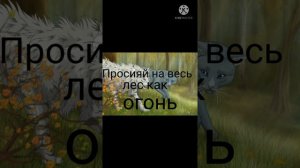 Огнезвёзд или Синяя Звезда? Теория Коты-воители.