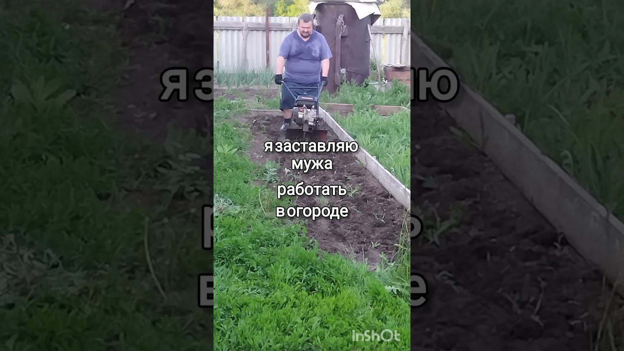 СКУЧАЮ  #жизньзагородом #свойдом #юмор #easy
