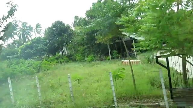 Фруктовый сад.Тайланд смотреть онлайн