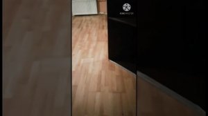 Циклевка художественного паркета