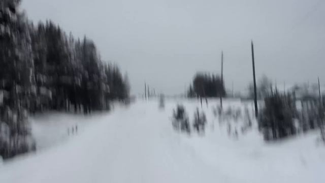 Вывозка леса в хлыстах. МАЗы-509А еще в строю. Валка леса ЛП-19, трелевка леса ЛП-18Г.
