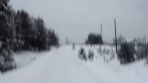 Вывозка леса в хлыстах. МАЗы-509А еще в строю. Валка леса ЛП-19, трелевка леса ЛП-18Г.
