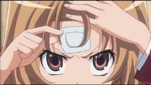 ТораДора! / Toradora! - 23 (RAW)