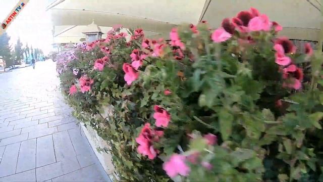 Москва! Новый Арбат! Чистый город. смотреть онлайн