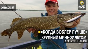 'Когда воблер лучше.'  Крупный минноу летом.  Алексей Шанин