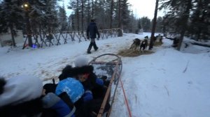 Смотрим ферму хасок, катаемся на хасках, получаем мооре позитива