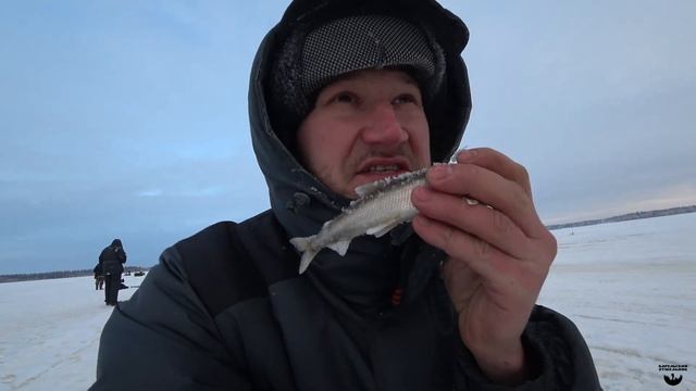 Зимняя рыбалка на корюшку в Белом море Кемского района
