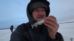 Зимняя рыбалка на корюшку в Белом море Кемского района