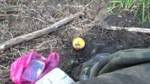 Рыбалка на перьевой поплавок с трофейной рыбой!