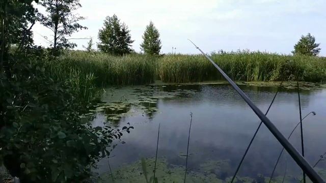 Река Ерик дарит подьязка на боковой кивок смотреть онлайн