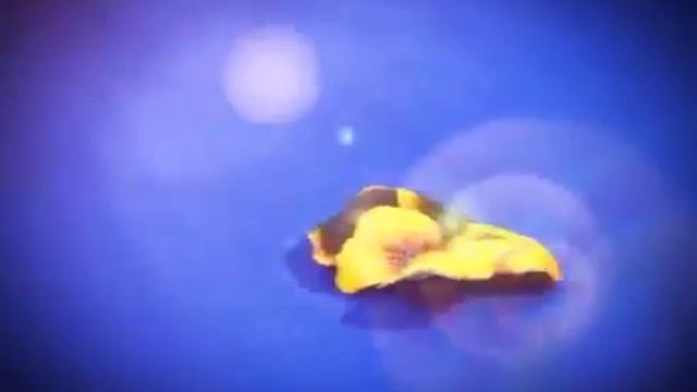 Объемный декупаж для начинающих. Наталья Жукова. Видео мастер-класс. Sospeso Trasparente