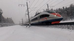 Скоростные поезда  на Ленинградском направлении.