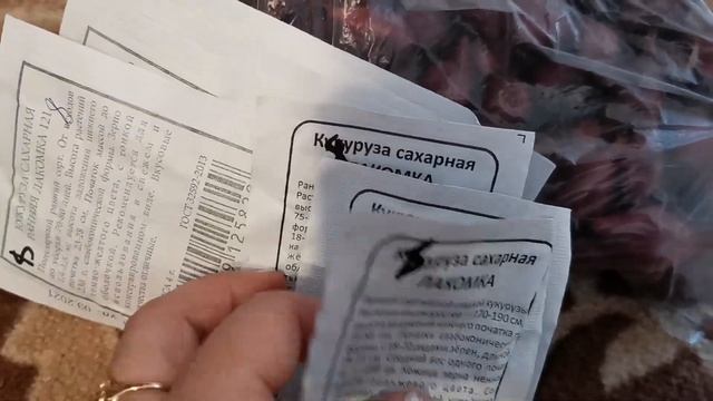 МНОГО ПОКУПОК. СВЕТОФОР. МЯСО. ФАРШ. смотреть онлайн