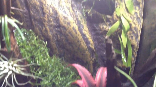 Vivarium project смотреть онлайн