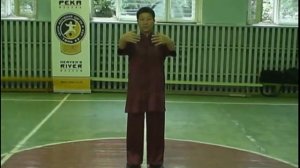 Цигун Бодхидхармы Дамо ИцзиньЦзинь Ч2