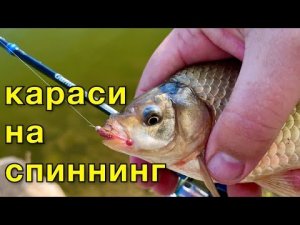 Караси на спиннинг . Мормышинг