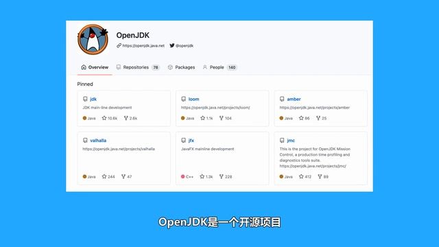 Java版本更新周期与不同的发行版本