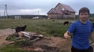 Биогазовая установка 10кубовая 2017 . Начало