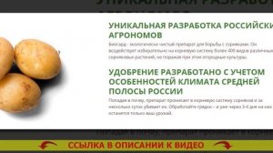 ❕ БИОПРЕПАРАТЫ ОТ СОРНЯКОВ ПРИМЕНЕНИЕ ДЕЙМОС ⚡ ОБРАБОТКА КАРТОФЕЛЯ ОТ СОРНЯКОВ ✔