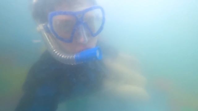 КТО БЫСТРЕЕ СПАСЕТ ЧЕЛОВЕКА ПОД ВОДОЙ, ПОЛУЧИТ 100000 РУБЛЕЙ смотреть онлайн