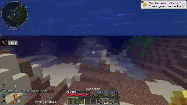 Iron SMP | The Shulker, the Cat, and the Goldfish смотреть онлайн