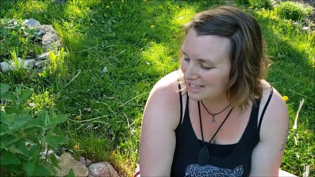 Catnip is NOT Just for Cats! (Nepeta cataria materia medica) смотреть онлайн