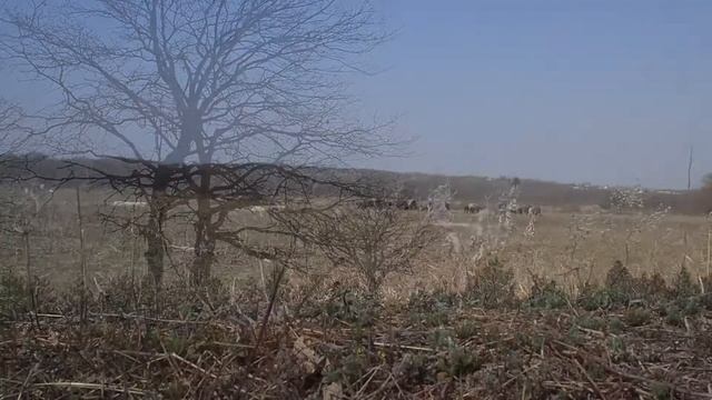 2020 4 апр 8 Излегоще смотреть онлайн