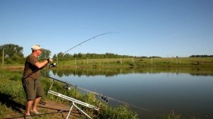 Карповое удилище Shimano Velocity 12FT 3LB. Практический обзор.