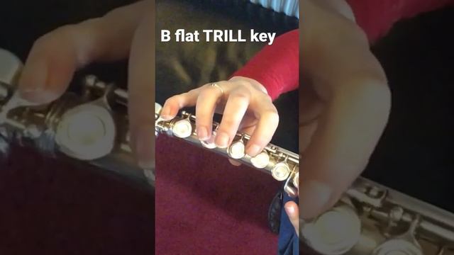 Bb TRILL key - Flute fingering for the Bflat trill  #learnflute
