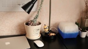 Поглотитель влаги осушитель воздуха Air Max