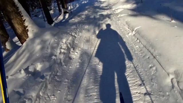 Очередная лыжная прогулка по лесу, с целью проверить новую ЭКШН-КАМЕРУ! смотреть онлайн