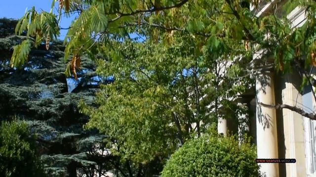 Крым, Ялта. Парк и дворец графа Мордвинова, особняк княгини Барятинской. Crimea, Yalta