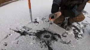 Первый лед. Ловля на безмотылку