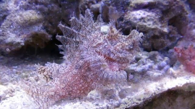 Удильщик. смотреть онлайн