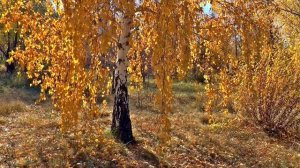 Сколько лет России на самом деле?