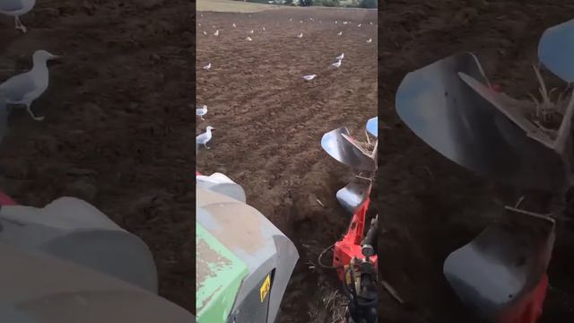 Fendt tractor смотреть онлайн