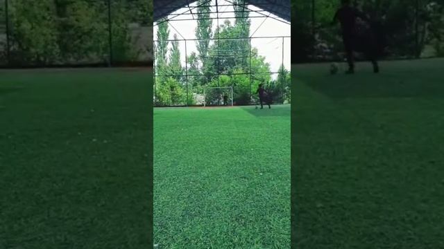 Исфана!!! Будущие чемпионы. Азизбек Облобердиев. Тимур Облобердиев смотреть онлайн