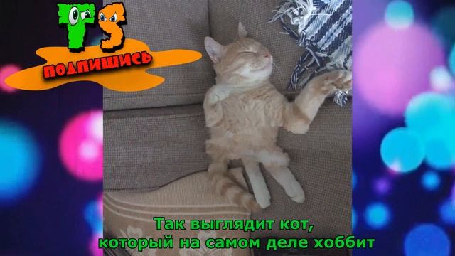 Панорамное фото, или открыли врата ада!? смотреть онлайн