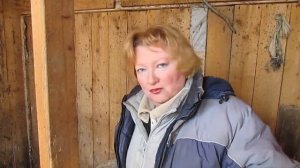 ВЬЕТНАМСКАЯ вислобрюхая свинья - скоро ОПОРОС / Москвичка в деревне