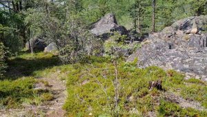 Алёнкины озёра