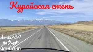 Курайсая степь. Республика Алтай