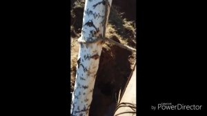 Водоспуск системы Монах. Часть 1. Строительство Пруда в троем без техники. Возведение дамбы.