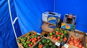 Цены в Киеве сегодня. Обзор рынка