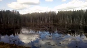 вид по пути следования по Бологое-Полоцкой железной дороги из Бологого