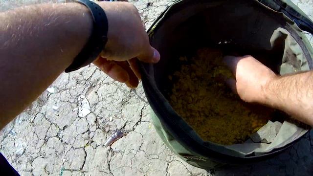 На что ловить в ЗАПРЕТ? Рыбалка на Днестре. Разрешенные в запрет снасти. смотреть онлайн