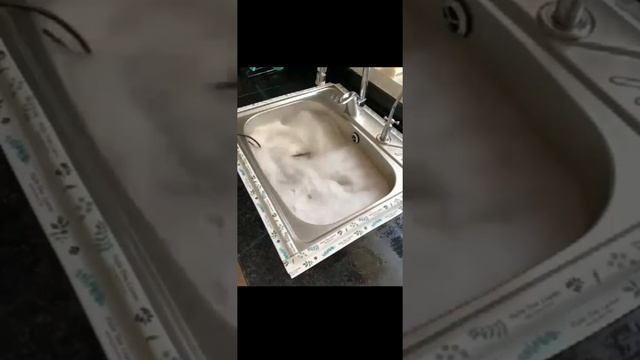 Ultrasonic Dishwasher смотреть онлайн