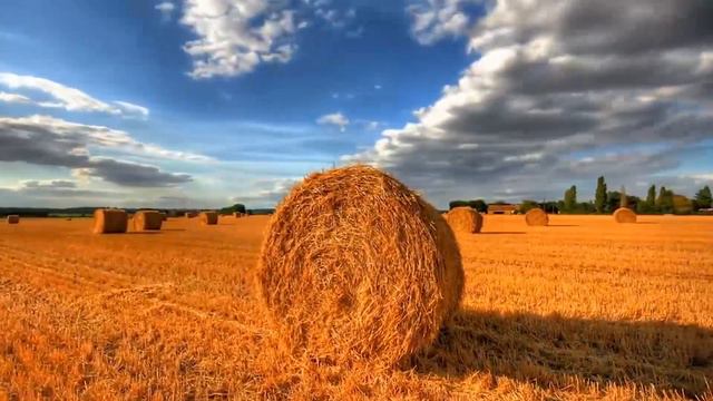 Кохання_ смотреть онлайн