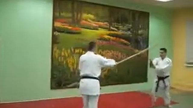 Ката с нагинатой, ката 3 (kasumi no naginata) смотреть онлайн