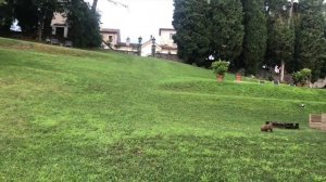 Vlog из Италии. Шоппинг в итальянском аутлете. Аренда виллы